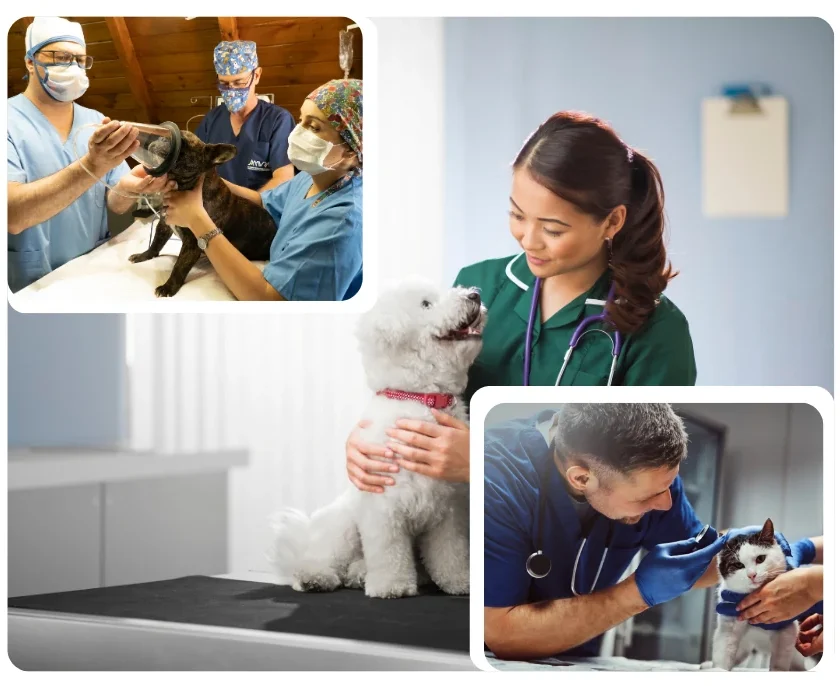 Untitled design 15 e1756226097871