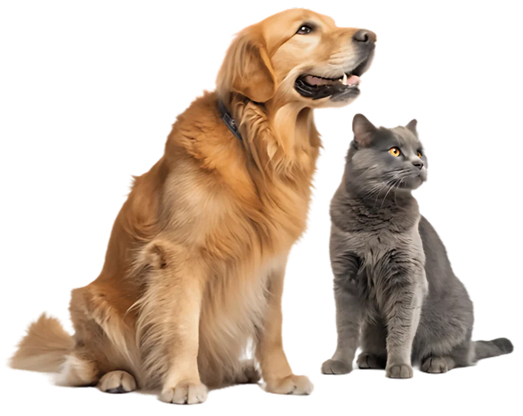 Untitled design 16 e1756263413643